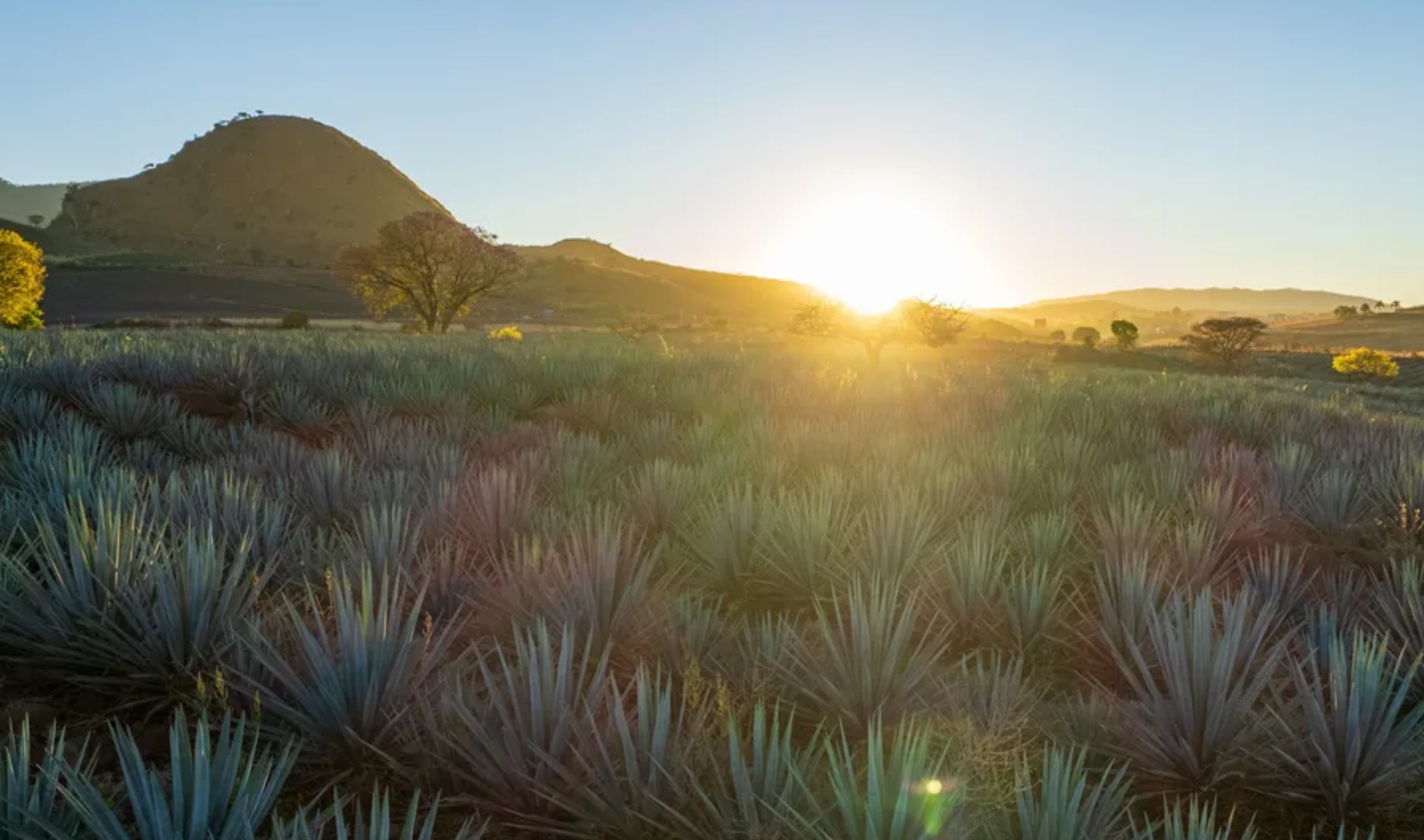 Cinco pueblos mágicos de Jalisco